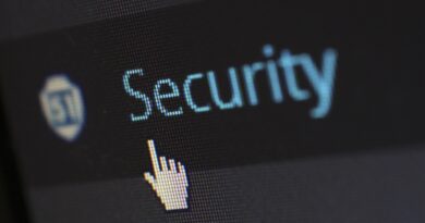 Ensuring Website Safety with WordPress Updates: A Guide to Security